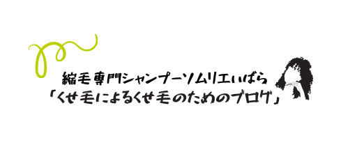 縮毛専門シャンプーソムリエいばら「くせ毛によるくせ毛のためのブログ」